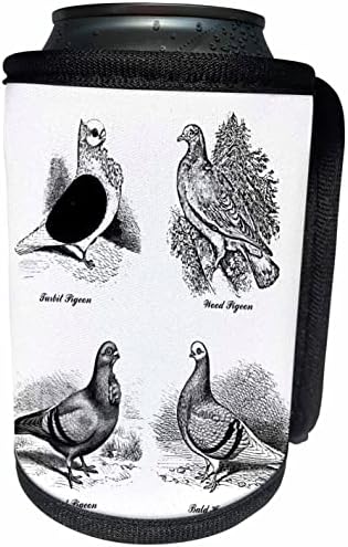 3dRose Vintage Güvercin Irkları Sanat İllüstrasyonu Siyah ve. - Şişe Sargısını Soğutabilir (cc-364645-1)