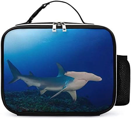 Çekiç Köpekbalığı Vahşi Yeniden Kullanılabilir yemek taşıma çantası Yalıtımlı öğle yemeği kutu konteyner Ofis İşleri İçin Piknik Seyahat