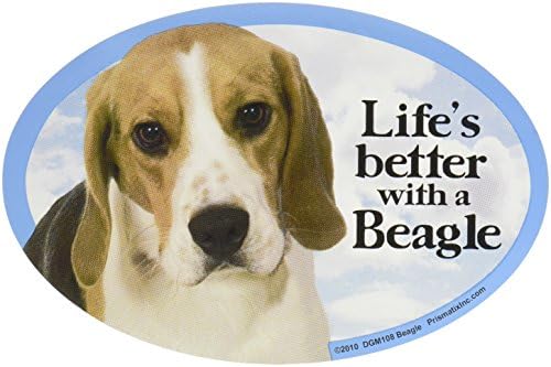 Kedi ve Köpek Mıknatısları-Beagle
