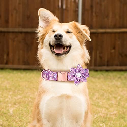 TDTOK Küçük Orta Büyük Köpekler için Kız Köpek Tasması, Çıkarılabilir Çiçek Emniyetli Metal Tokalı Sevimli Köpek Tasması Ayarlanabilir