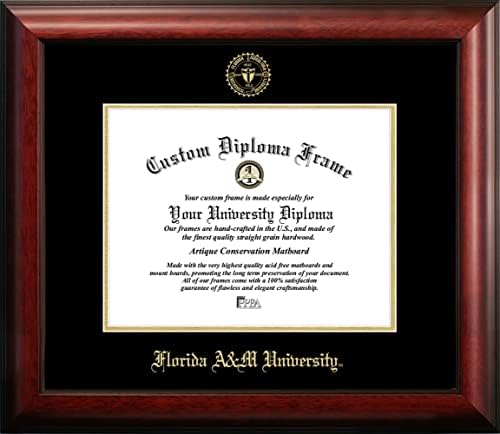 Kampüs Görüntüleri FL997GED Florida A & M Üniversitesi Kabartmalı Diploma Çerçevesi, 8,5 x 11, Altın