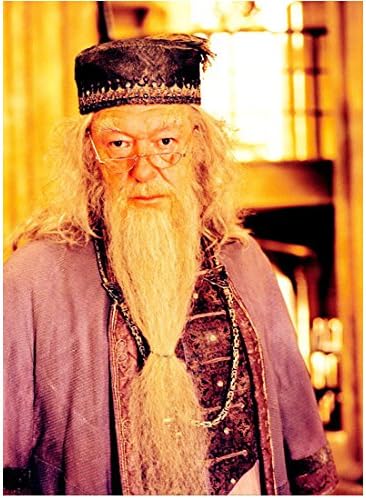 Harry Potter Michael Gambon Mor Tunikte Profesör Dumbledore Olarak 8 x 10 inç Fotoğraf